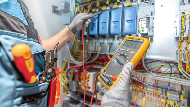 Best Home Electrical Repair  in Royalton, IL