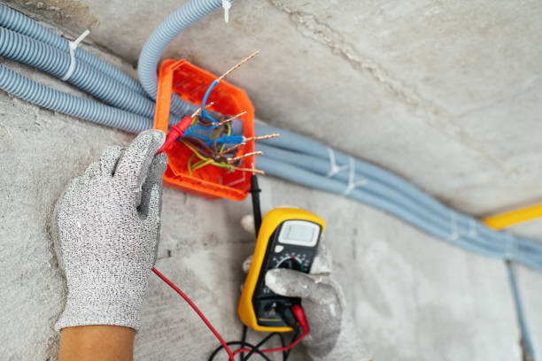 Best Electrician for Home Renovation  in Royalton, IL